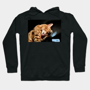 Bengal Katze 3 / Swiss Artwork Photography Hoodie